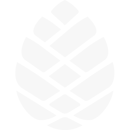 Pinecone